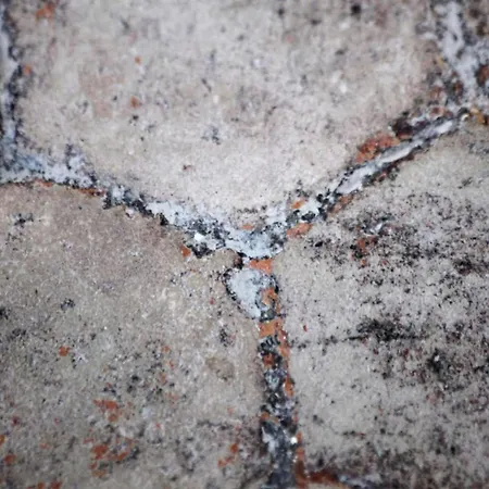 St-germain/louvre - Stylish Townhouse Of 1600